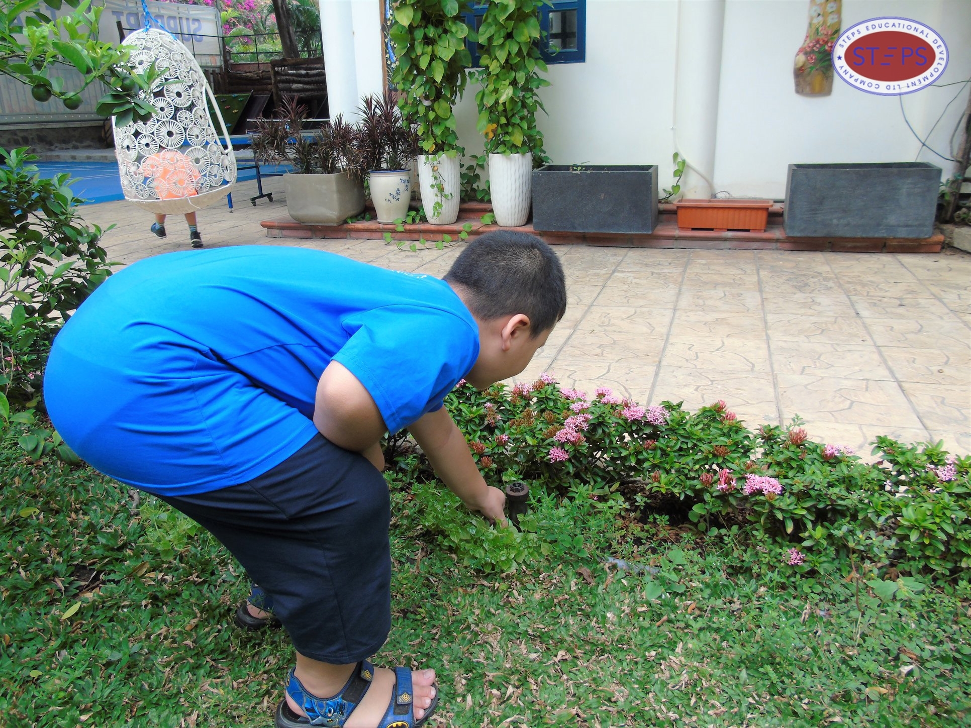 egg hunting at steps special school 10